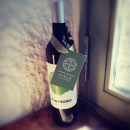 Apartmán Viela Alojamentos *