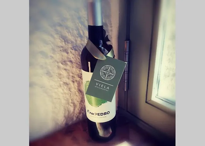 Apartment Viela Alojamentos *